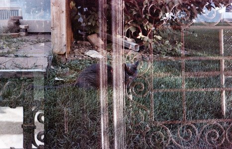 2026-09-Agfa400-Double-019