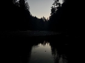 20250824-055628.jpg