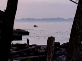20250824-070347.jpg