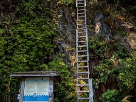 West Coast Trail