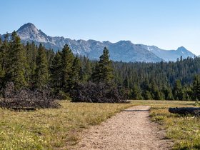 Towers Loop